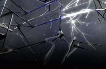 Neuronal network oscillations and efficacy