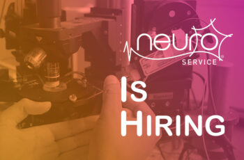 Our member NEUROSERVICE is hiring!