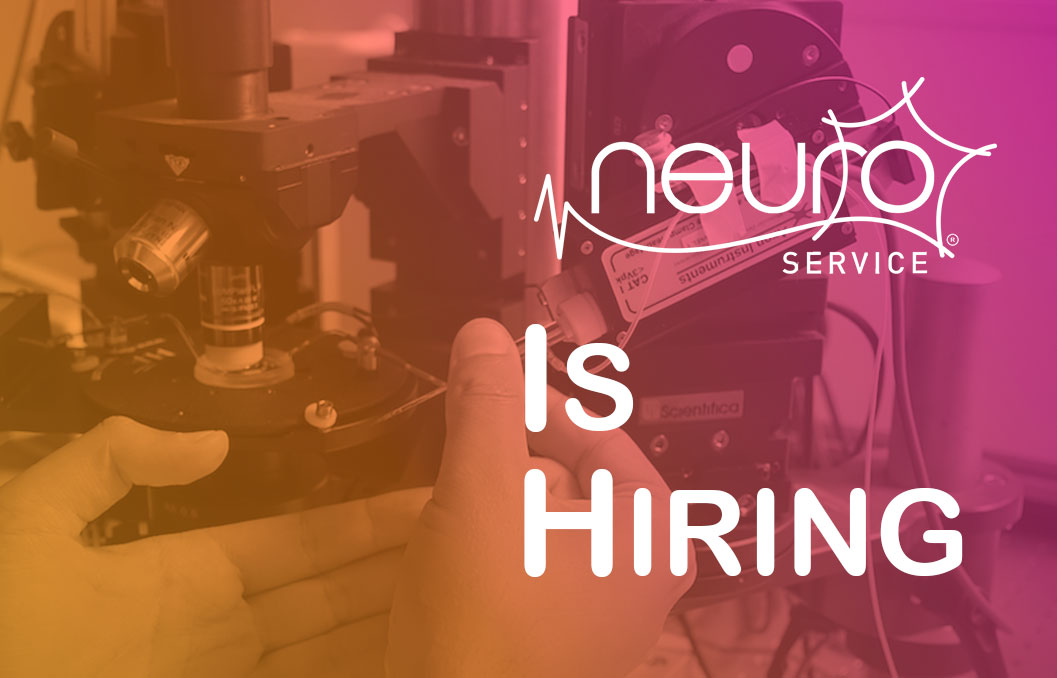 Neuroservice is hiring