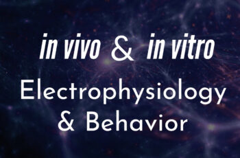 Neuroservices-Alliance: your remote backup laboratory