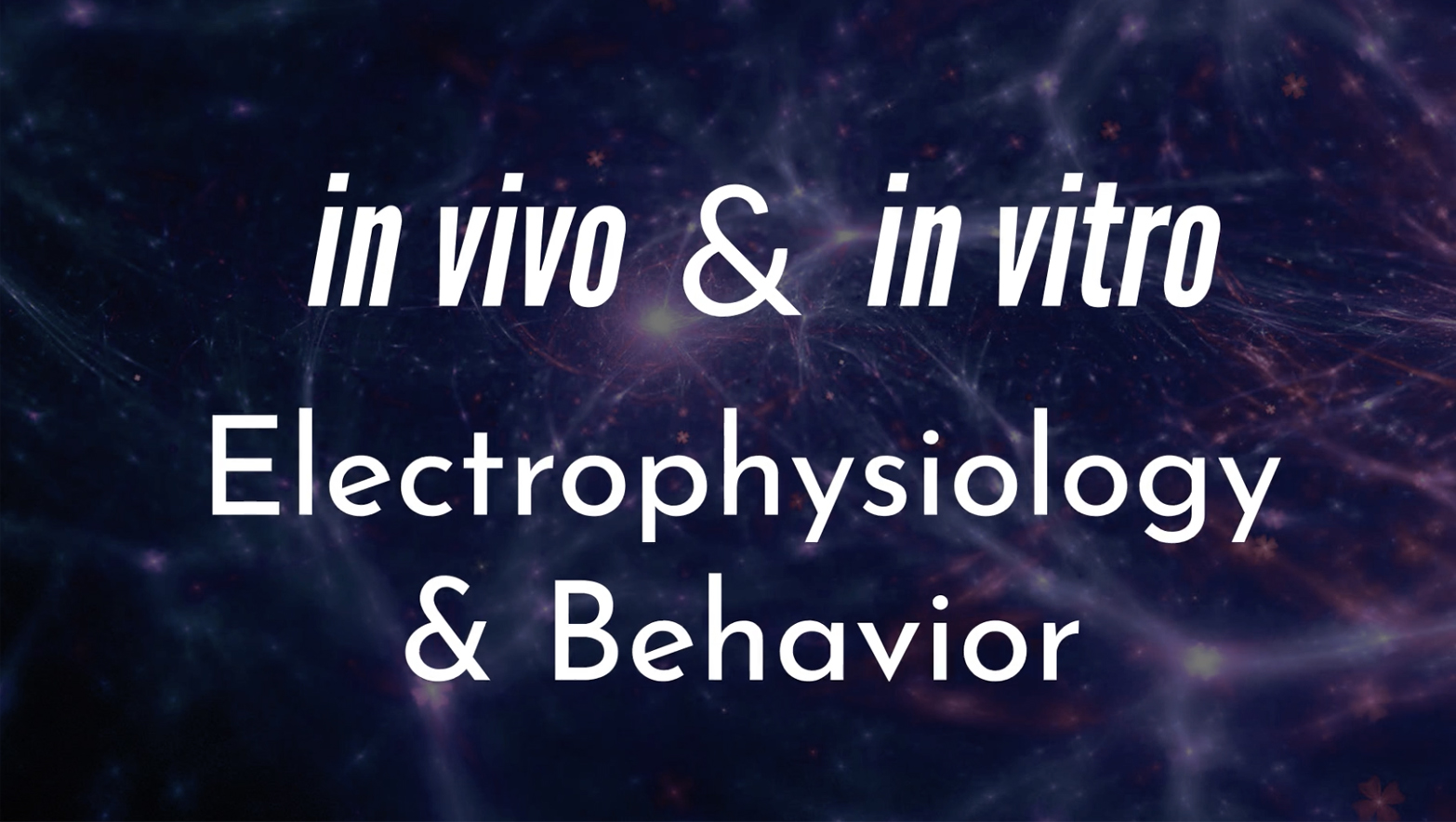 nsa - your backup laboratory