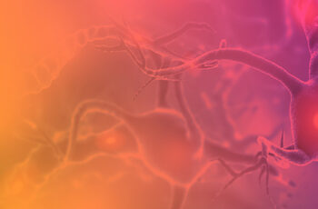 WEBINAR #3 – In vivo ephy recordings of spinal cord neurons for Pain drug discovery