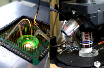 In vitro & in vivo electrophysiology for CNS drug discovery webinar – Japanese language