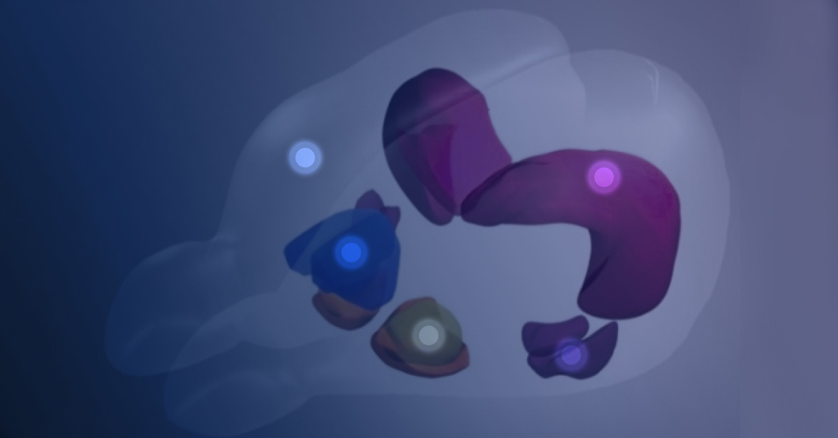 in vivo electrophysiology - optogenetics