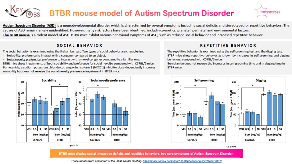 BTBR Mouse Model of ASD - behavioural experiments