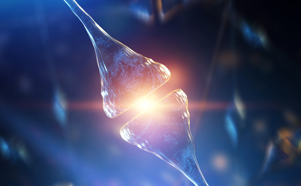 Neuron electric signal