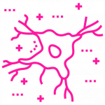 Icon of a neuronal cell