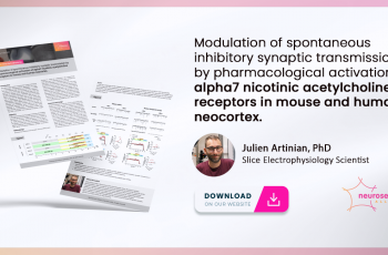 Case study: modulation of inhibitory synaptic transmission by activation of alpha 7 nicotinic acetylcholine receptors