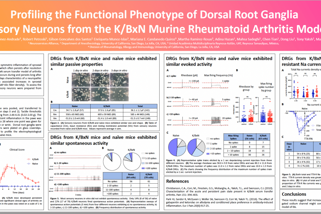 Thumbnail of poster presenting DRG Sensory neuron recording data