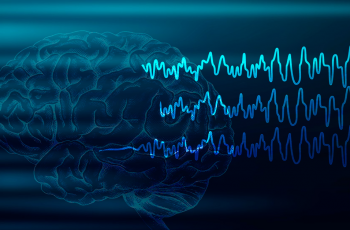 Profiling Proconvulsive Effect of Compound with Neuroservices-Alliance