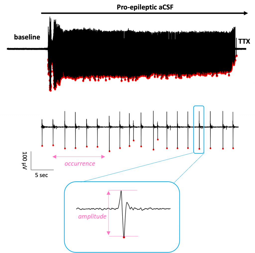 Electrophysiology currents