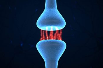 Assaying Synaptic Plasticity in Brain Slices: Paired Patch-Clamp and MEA Recordings in Ketamine-Treated Rats