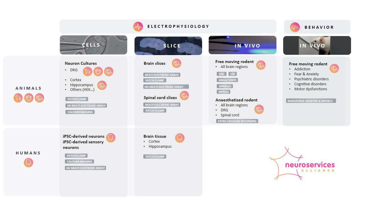 Matrix presentation of services divided into platforms