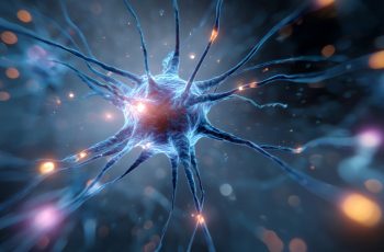 Does Retigabine Turn Down the Volume on Sensory Neuron Excitability?