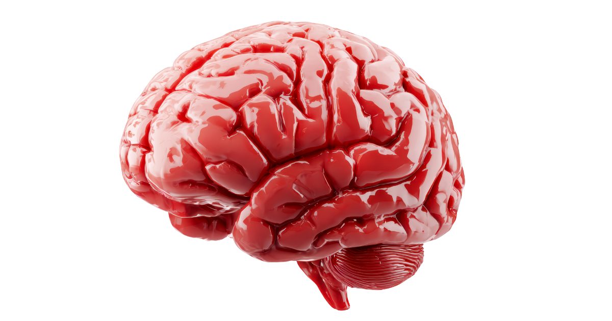 3D Render of Human brain