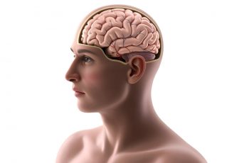 Human Relevant Assays for Drug Discovery: How Human Brain Slice Electrophysiology Fits Translational Decisions 