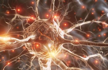 Does somatostatin decrease excitability in rat cortical neurons?